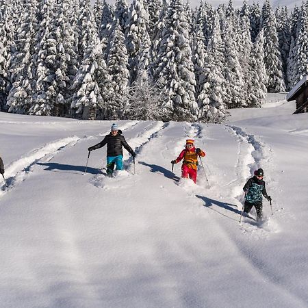 Natur- & Wanderhotel Tuxertal エクステリア 写真